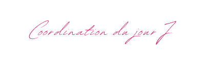 Coordination du jour J